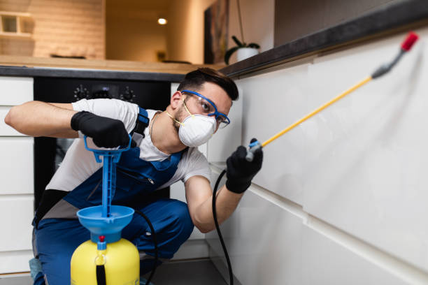 Best Pest Removal Services  in Newton, AL