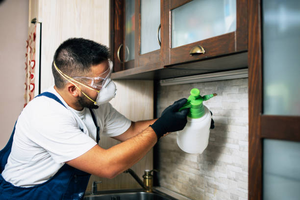 Professional Pest Control in Newton, AL