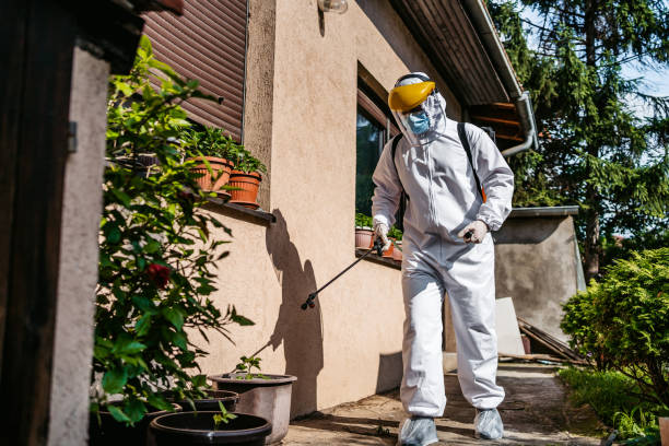 Best Best Pest Control Companies  in Newton, AL