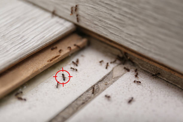 Best Wildlife Control Services  in Newton, AL