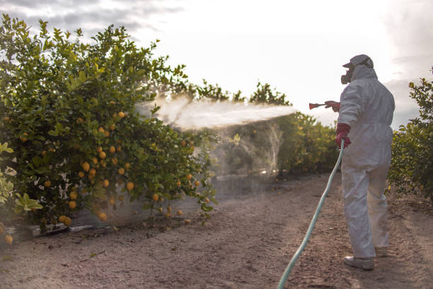 Best Cockroach Control Services  in Newton, AL