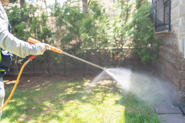 Best Insect Control  in Newton, AL