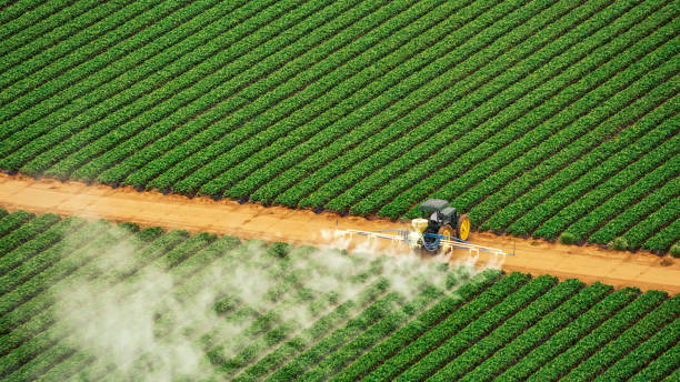 Best Mosquito Control Services  in Newton, AL
