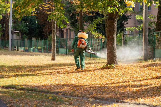 Best Wasp Removal Services  in Newton, AL