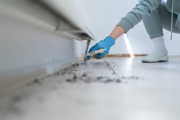 Wildlife Control Services in Newton, AL